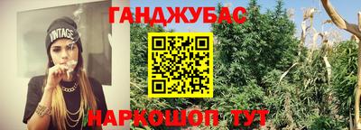 сатива Рыбинск