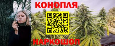 сатива Рыбинск