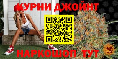 гидра Рязань